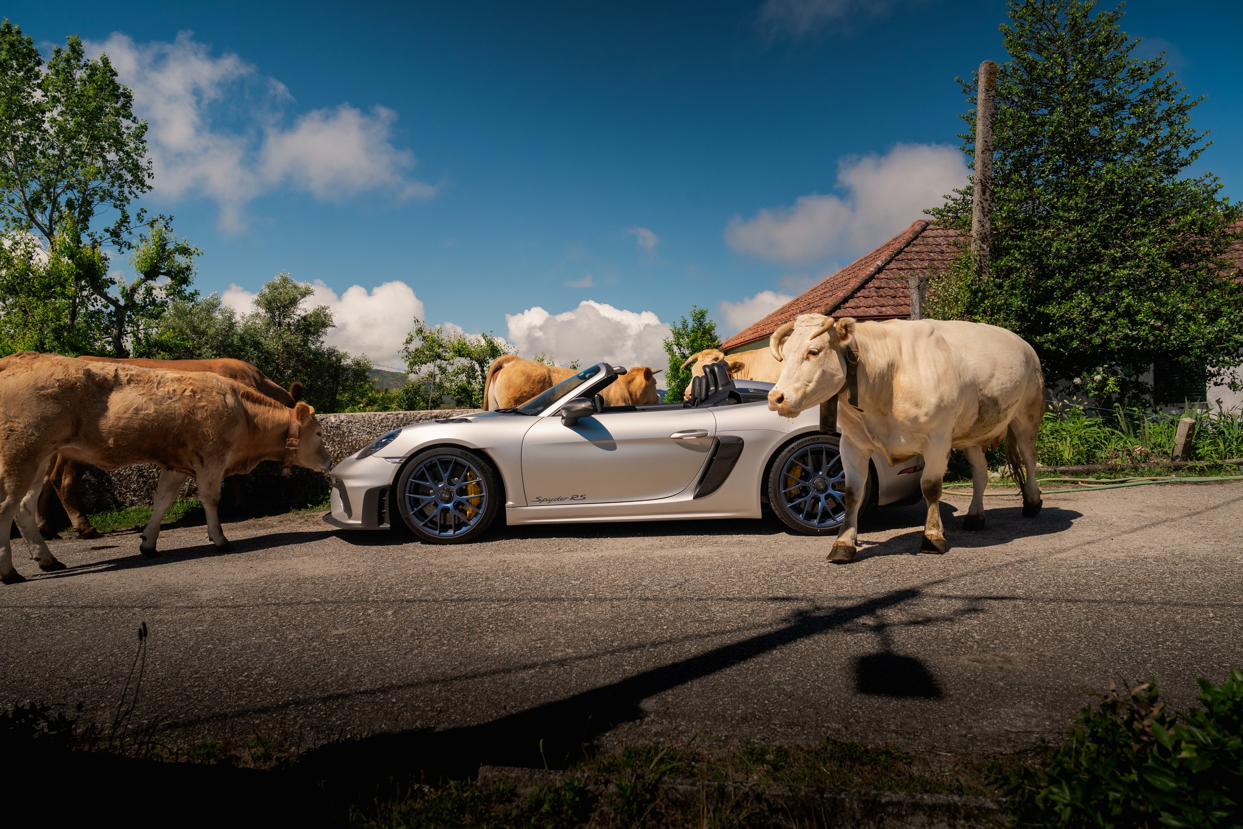 Iberian Peninsula Rally