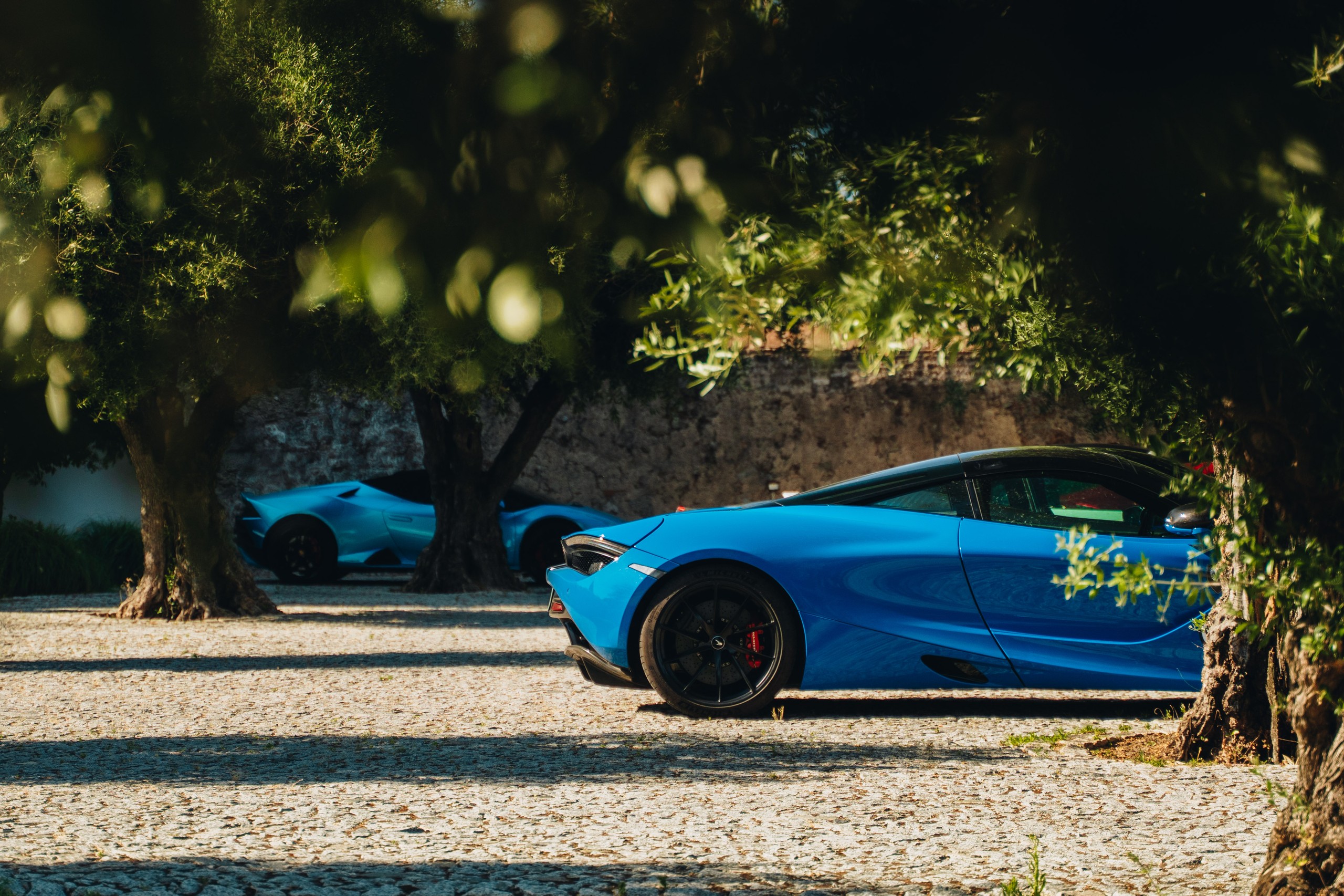 Verve Rally · Portugal