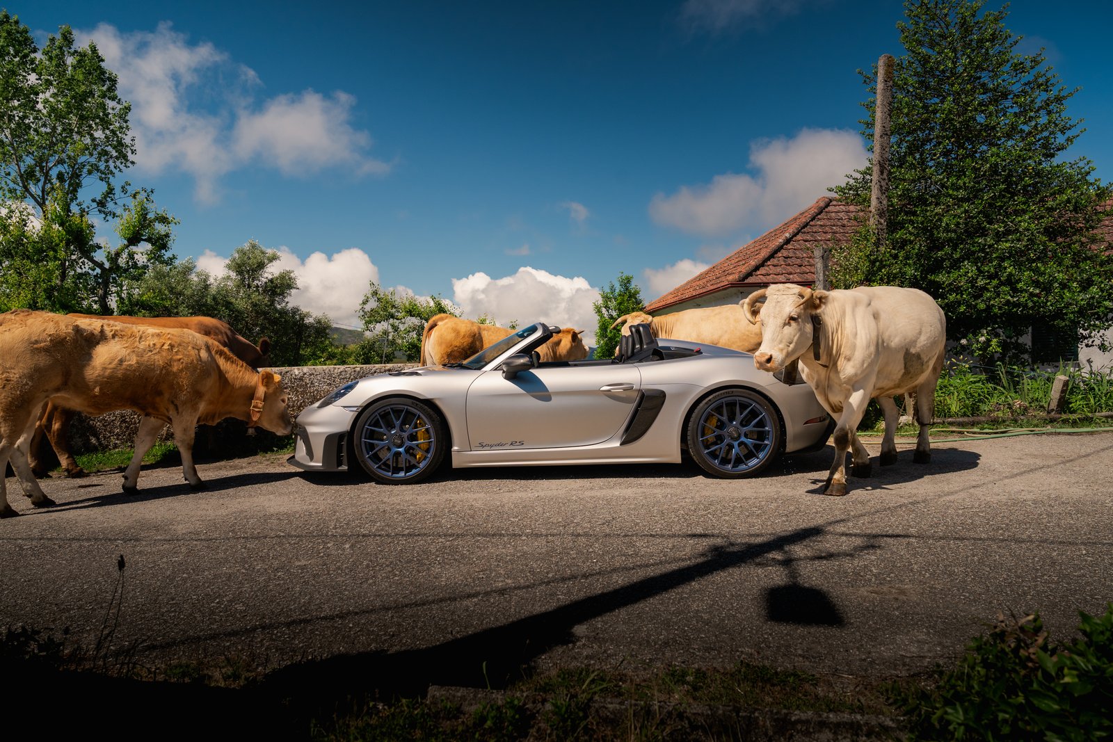 Iberian Peninsula Rally — still 10
