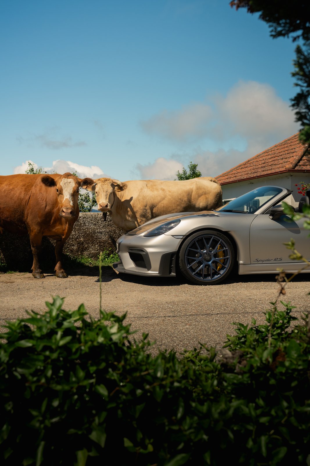 Iberian Peninsula Rally — still 13