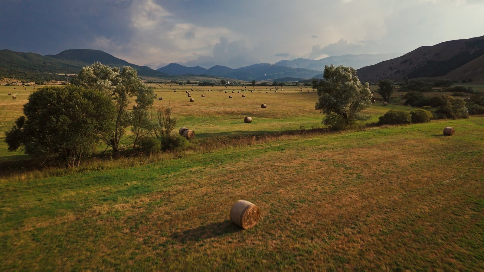 Moto.it · meadow