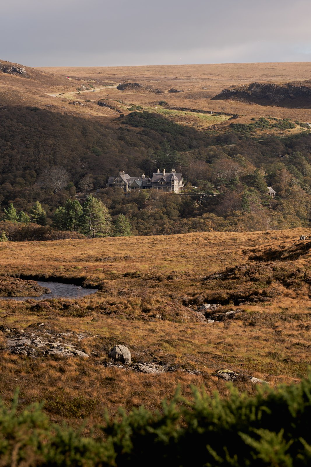 Tartan Classic — still 18