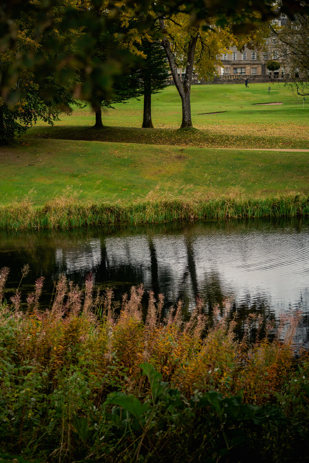 Tartan Classic — still 34