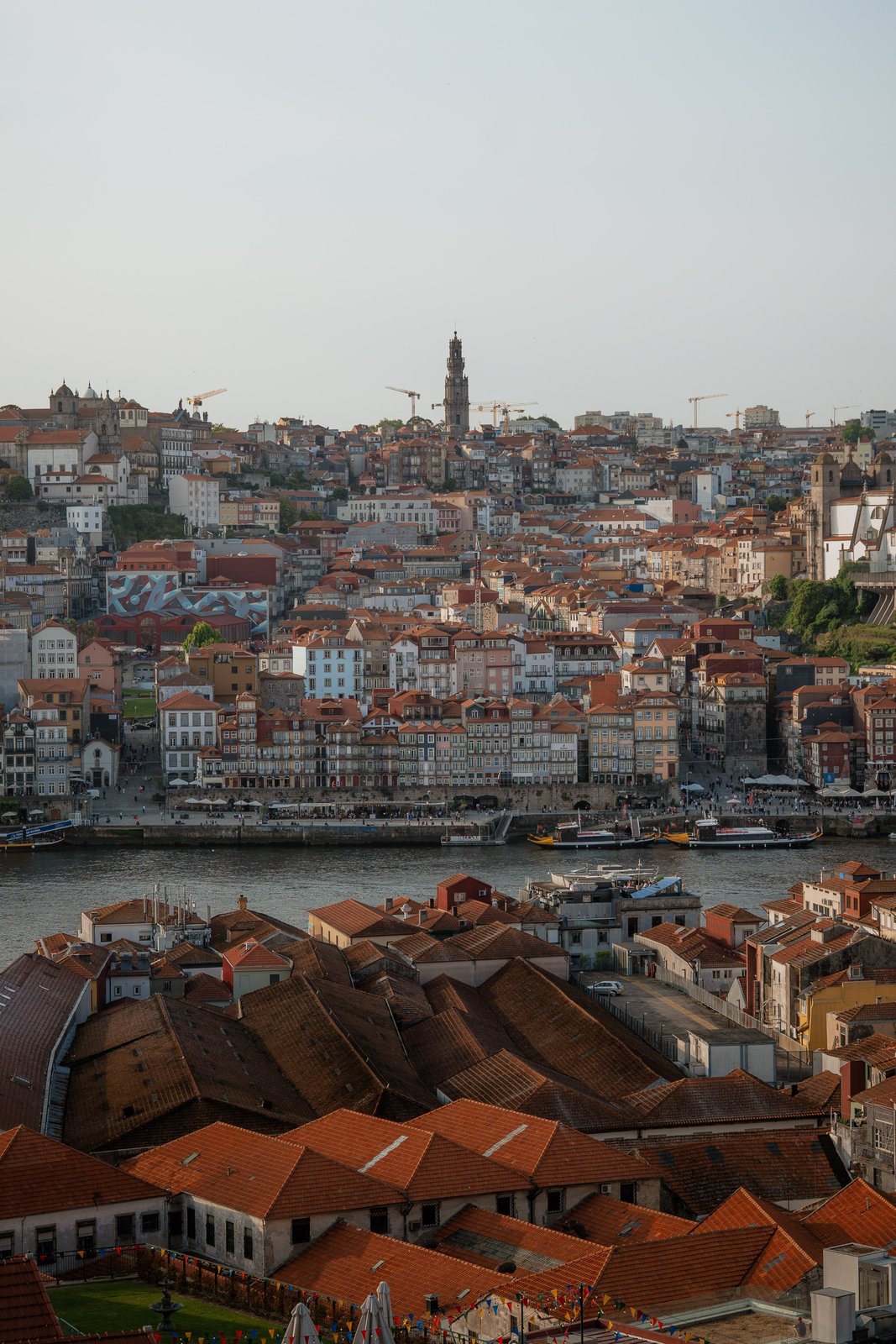 Verve Rally · Portugal — still 12
