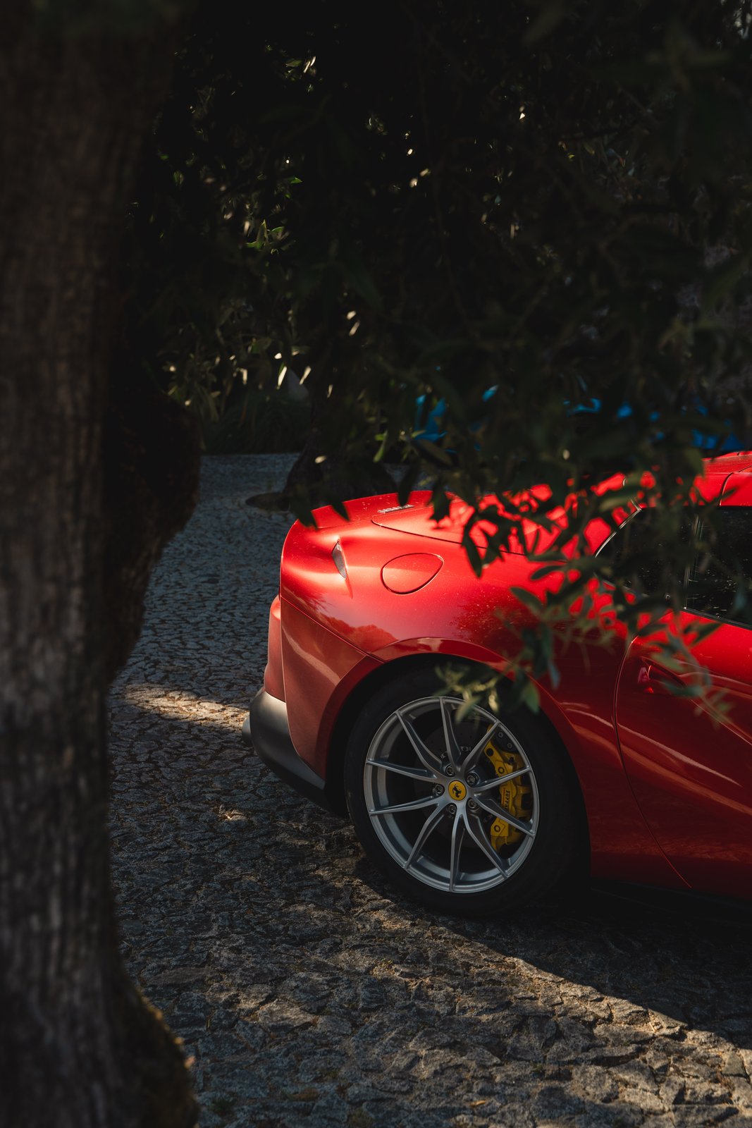 Verve Rally · Portugal — still 17