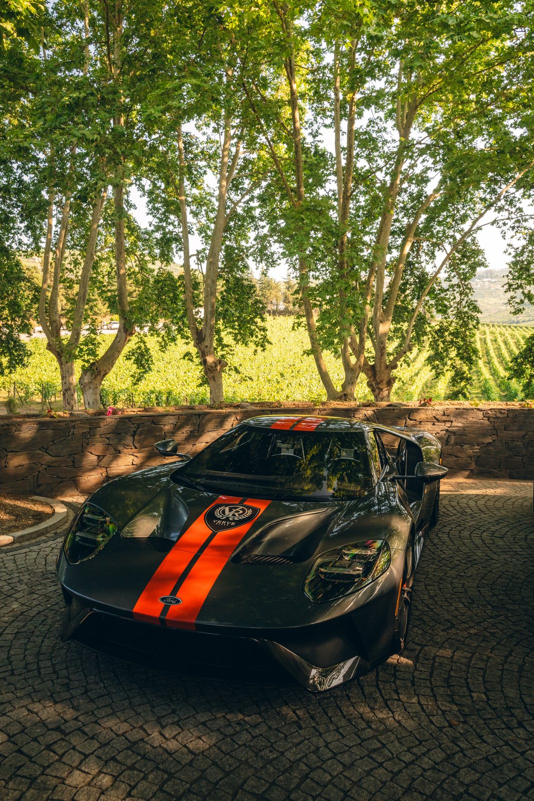 Verve Rally · Portugal — still 38