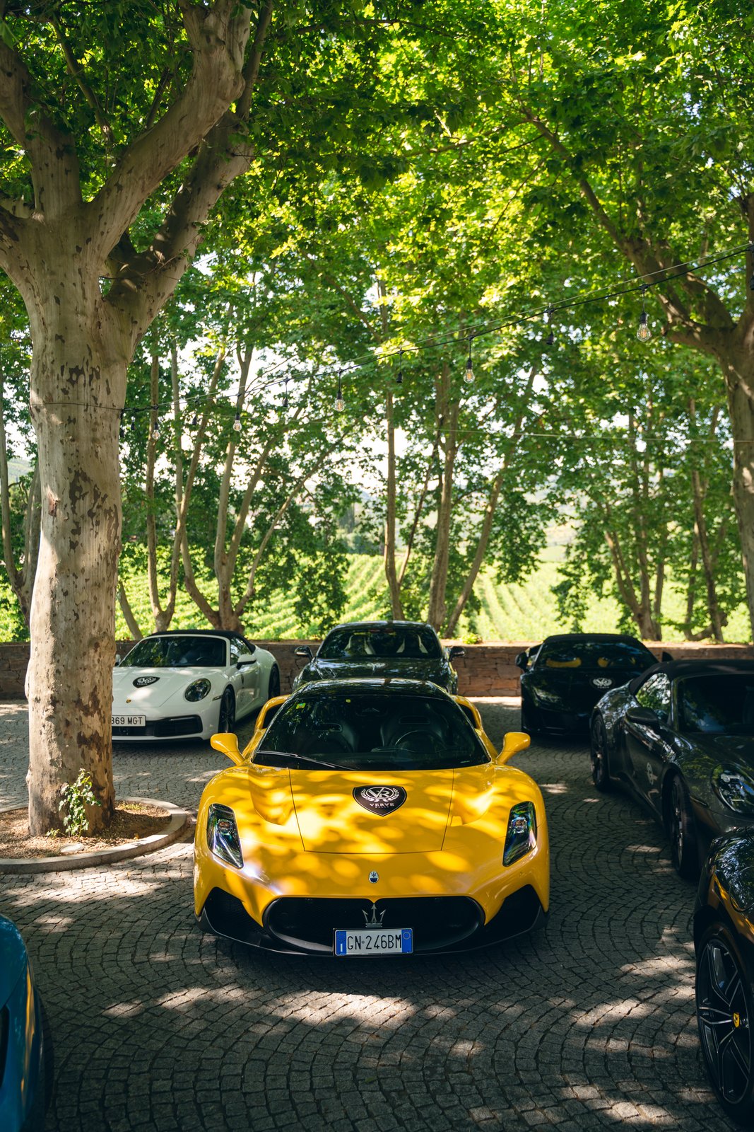 Verve Rally · Portugal — still 42