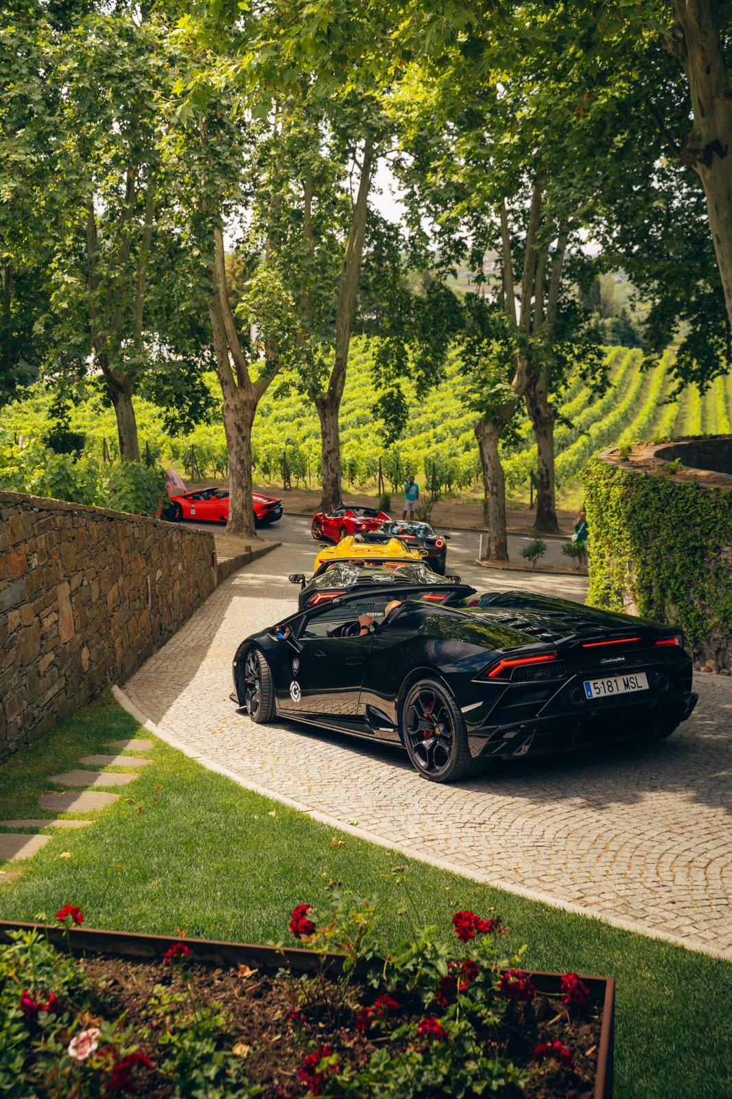 Verve Rally · Portugal — still 40