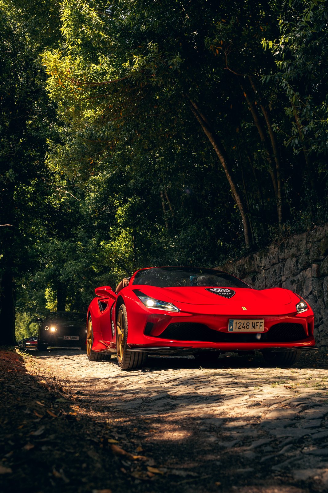 Verve Rally · Portugal — still 25