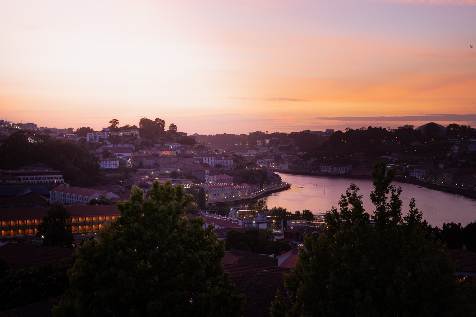 Verve Rally · Portugal — still 16